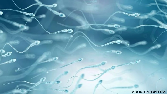 Symbolbild Sperma