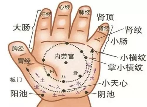 太神奇了!紧握拳头便知身体好不好