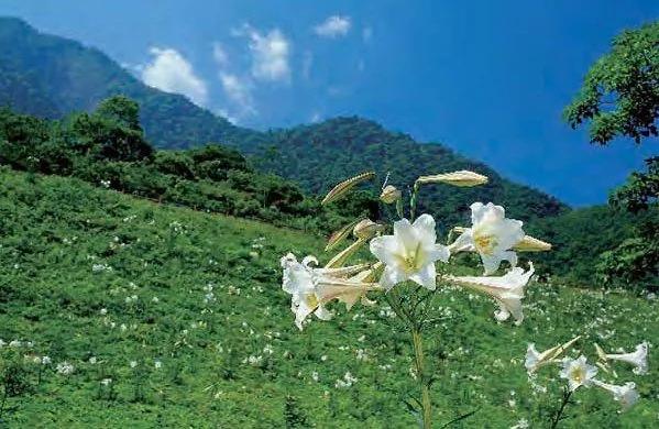 台湾最美的7个地方“你都去过了吗?”