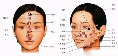 大推!內臟有多乾淨 臉蛋就有多漂亮
