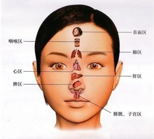 大推!內臟有多乾淨 臉蛋就有多漂亮