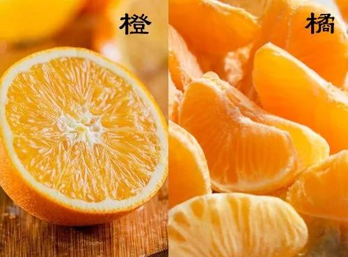 每天一个橙子不得胃癌,中风率降低19%
