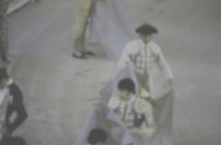 解密:原来狗狗眼中的世界是这样的