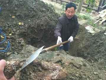 三蘇祠博物館內，挖了兩米才挖出白蟻巢。