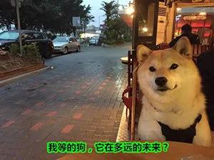 10张图带你了解各国的特殊圣诞节习俗
