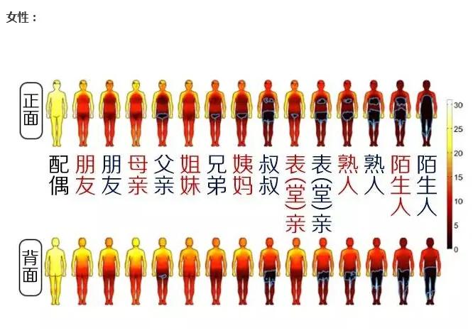 一张图带你看清“人体触碰禁区”