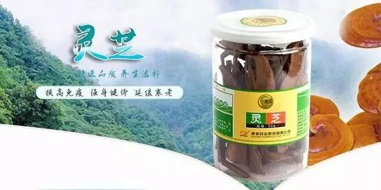 癌症患者每天喝灵芝煮水,奇迹竟然发生了!