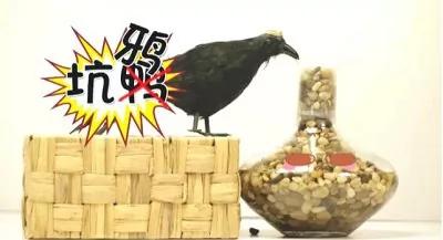 说谎课文教不出诚实品格