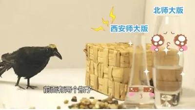说谎课文教不出诚实品格