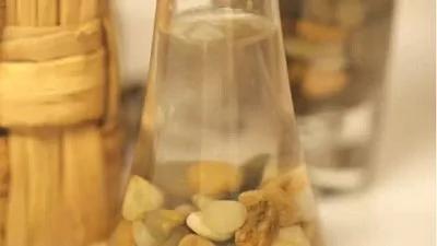说谎课文教不出诚实品格