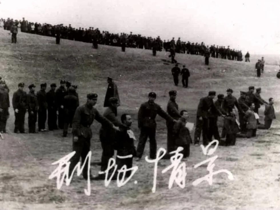 镇反后最大一次集中打击:处死人数揭秘