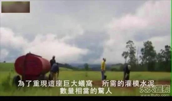 科学家向蚁窝灌4吨水泥 挖开后惊呆