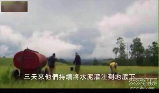 科学家向蚁窝灌4吨水泥 挖开后惊呆