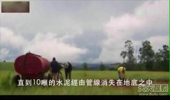 科学家向蚁窝灌4吨水泥 挖开后惊呆