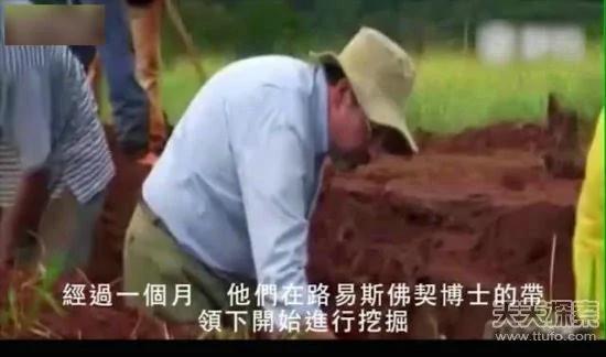 科学家向蚁窝灌4吨水泥 挖开后惊呆