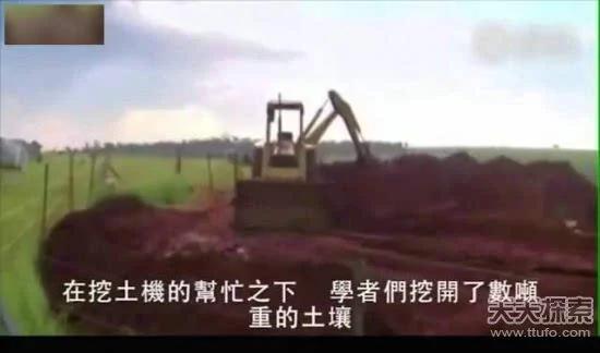 科学家向蚁窝灌4吨水泥 挖开后惊呆