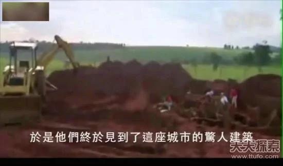 科学家向蚁窝灌4吨水泥 挖开后惊呆