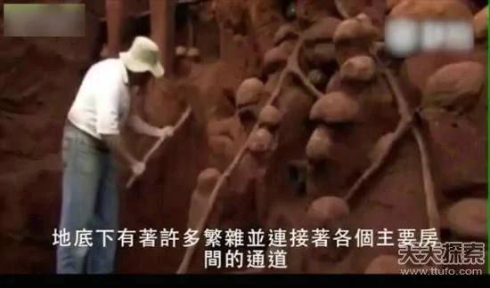 科学家向蚁窝灌4吨水泥 挖开后惊呆