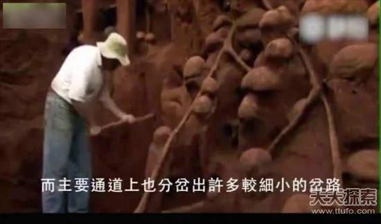 科学家向蚁窝灌4吨水泥 挖开后惊呆