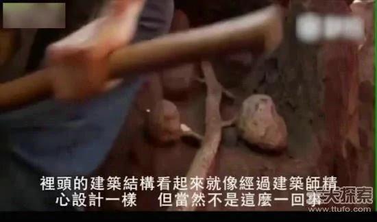 科学家向蚁窝灌4吨水泥 挖开后惊呆
