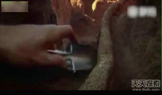 科学家向蚁窝灌4吨水泥 挖开后惊呆