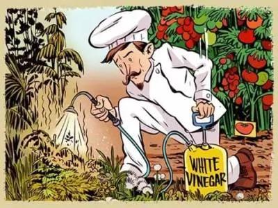 切完洋葱后反覆摩擦不锈钢勺子⋯⋯奇迹发生了!