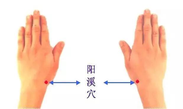 80岁中央保健医的长寿心得 平时你很少看到