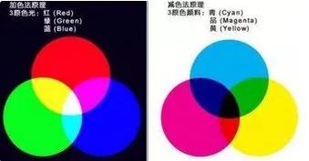大开眼界!原来动物看到的世界是这样的……