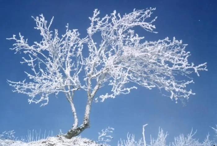 冷知识大进补“霰、雪、霜、冰雹、雾淞”一次搞懂