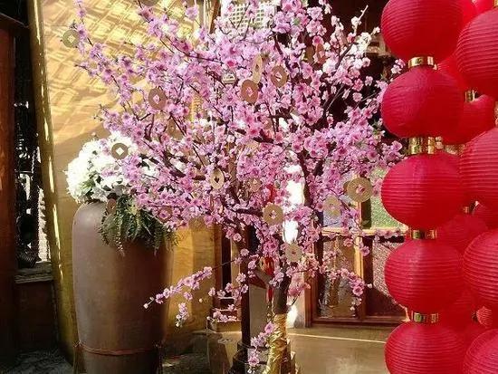 过年了,家里养这些植物大吉大利!你家有吗?