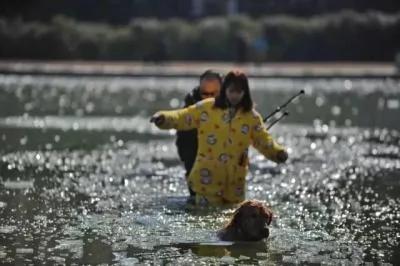 记者跳入冰湖救出落水狗 狗狗获救后深情拥抱感恩