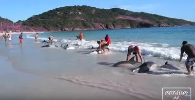 他原本只想拍拍大海的美景,不料却拍到了罕见而惊险的画面