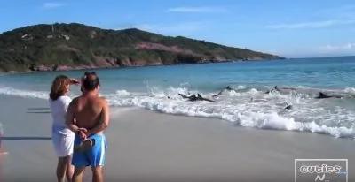 他原本只想拍拍大海的美景,不料却拍到了罕见而惊险的画面