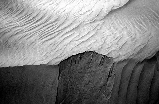 在NASA傳回來的火星照片中，疑似出現不明生物體。(圖/三體迷)