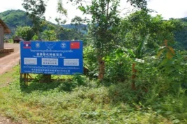 中國和寮國政府聯合推出的罌粟替代種植項目。（美國之音朱諾拍攝，2013年8月11日）