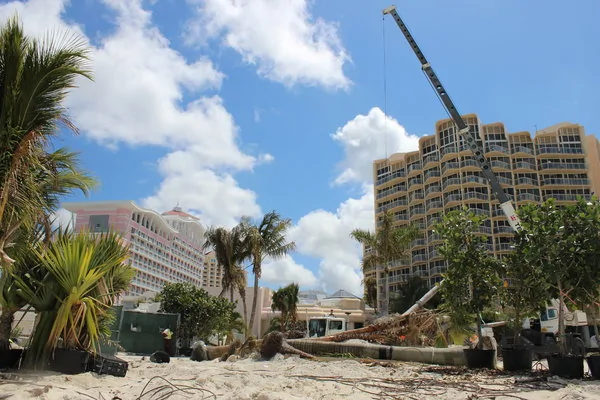 2015年4月，位於巴哈瑪群島拿騷的巴哈-瑪度假村正在海灘上佈置棕櫚樹，該項目後來陷入停滯。
