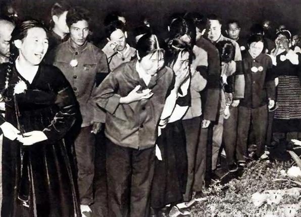 此言一出 全场顿时石化