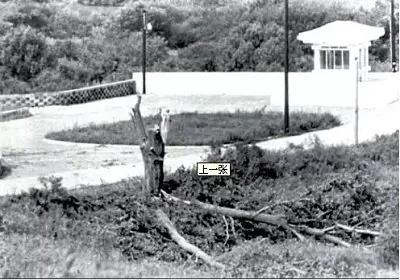 爆笑奇葩!板门店血案 朝鲜与澳洲断交25年始末