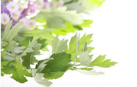 中医用“它”来取暖病都好了!比穿袜子还强100倍