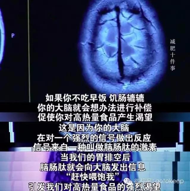 热帖:关于减肥,你需要知道的10个惊人事实