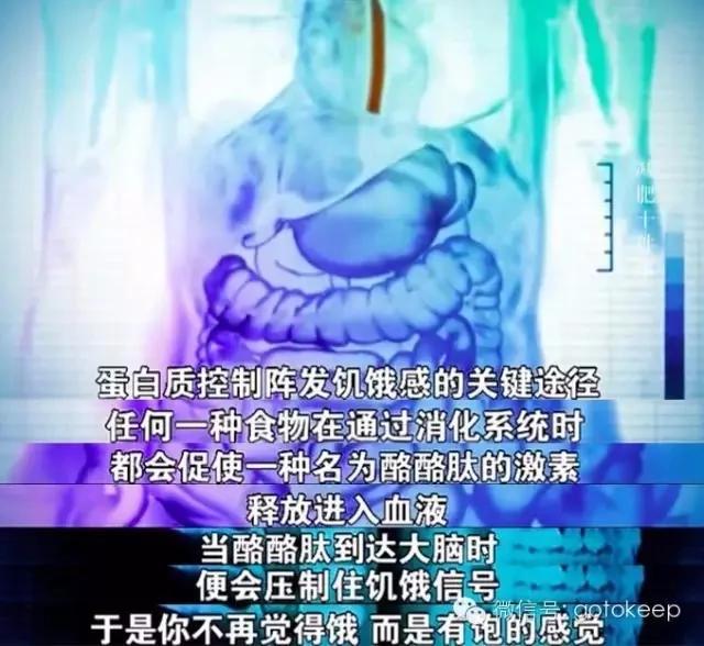 热帖:关于减肥,你需要知道的10个惊人事实