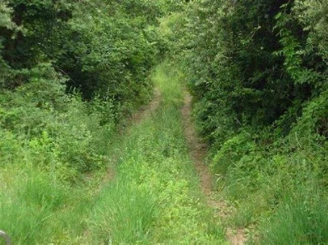 秦始皇修的高速公路 现在还能用