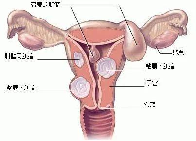 看完九大器官的“临终遗言” 你还敢不保养吗?
