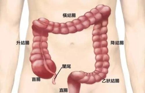 看完九大器官的“临终遗言” 你还敢不保养吗?