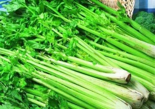 春天吃10菜种补足阳气 身体健康一整年