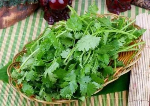 春天吃10菜种补足阳气 身体健康一整年