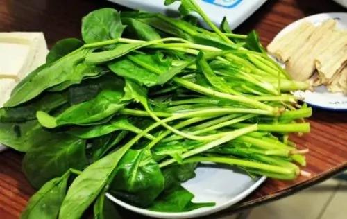 春天吃10菜种补足阳气 身体健康一整年
