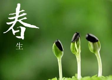 春天养肝防躁正当时 养生牢记三部曲
