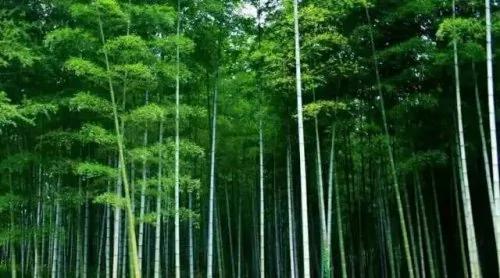 6个字 让一家族出了36个皇后 36个驸马 35个宰相