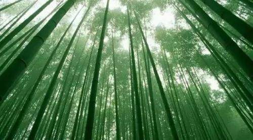 6个字 让一家族出了36个皇后 36个驸马 35个宰相